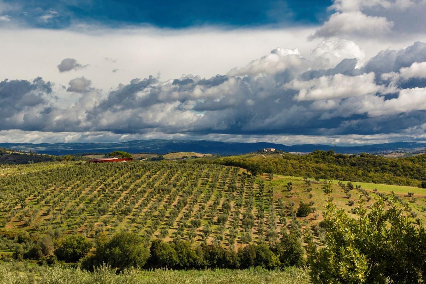 Tenuta Di Montecucco - Collemassari Hospitality Cinigiano Eksteriør billede
