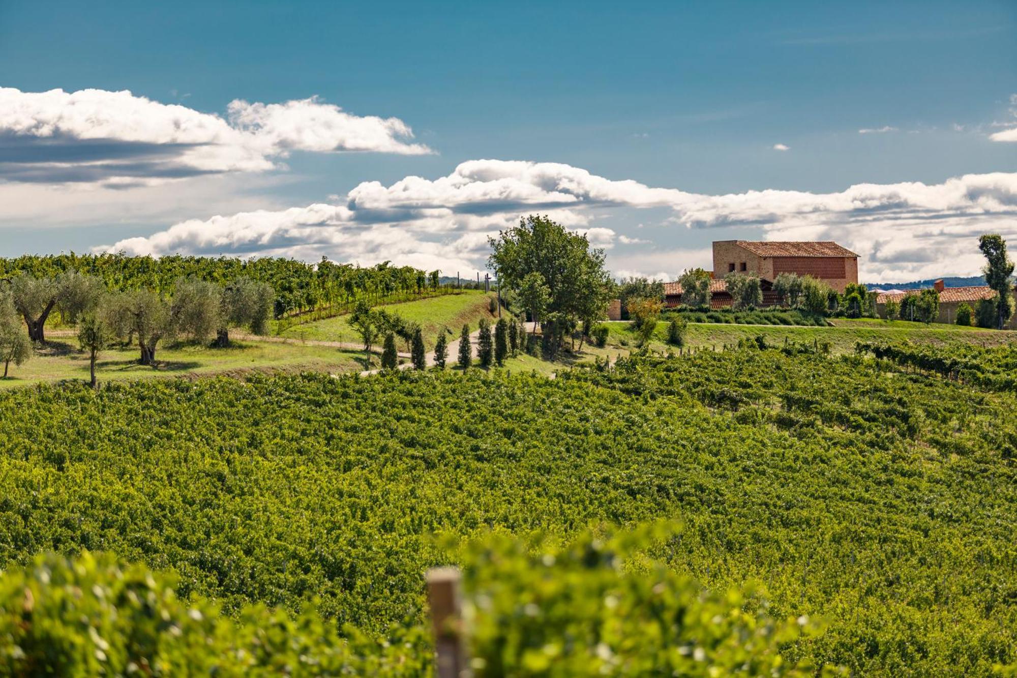 Tenuta Di Montecucco - Collemassari Hospitality Cinigiano Eksteriør billede