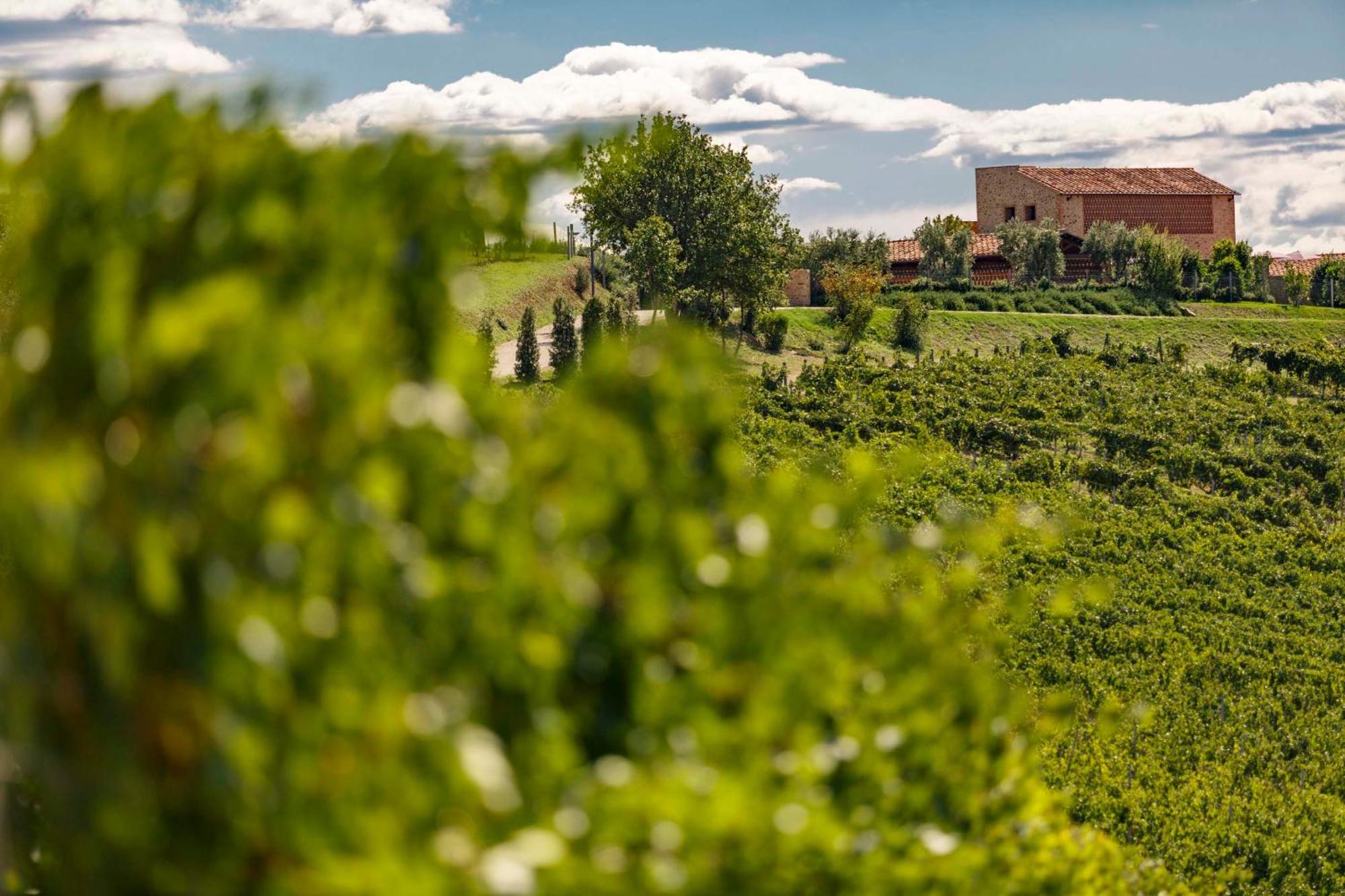 Tenuta Di Montecucco - Collemassari Hospitality Cinigiano Eksteriør billede